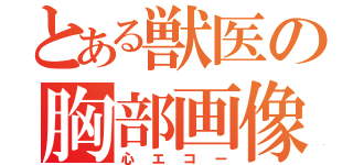 とある獣医の胸部画像診断（心エコー）