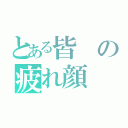 とある皆の疲れ顔（）