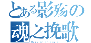 とある影殇の魂之挽歌（Ｒｅｑｕｉｅｍ ｏｆ ｓｏｕｌｓ）