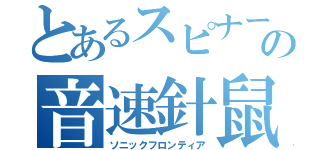 とあるスピナーの音速針鼠（ソニックフロンティア）