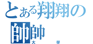 とある翔翔の帥帥（大學）