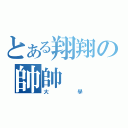 とある翔翔の帥帥（大學）