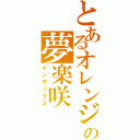 とあるオレンジの夢楽咲（インデックス）