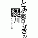 とある薬草好きの緑川（インデックス）