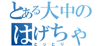 とある大中のはげちゃびん（とっとり）