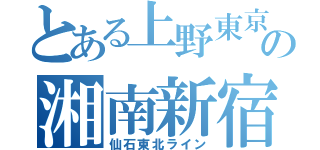 とある上野東京ラインの湘南新宿ライン（仙石東北ライン）