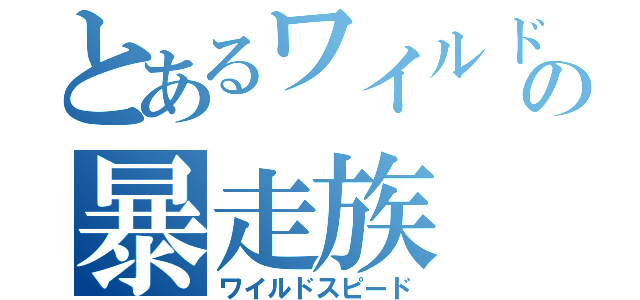 とあるワイルドの暴走族（ワイルドスピード）