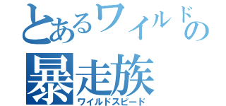 とあるワイルドの暴走族（ワイルドスピード）