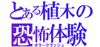 とある植木の恐怖体験（ホラークラッシュ）