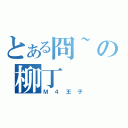 とある冏~の柳丁（Ｍ４王子）