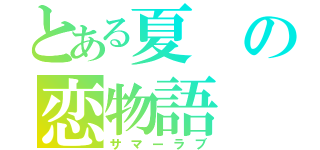 とある夏の恋物語（サマーラブ）