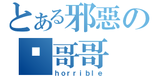 とある邪惡の嘿哥哥（ｈｏｒｒｉｂｌｅ）