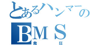 とあるハンマーのＢＭＳ（発狂）