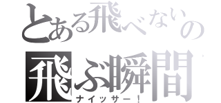 とある飛べない烏の飛ぶ瞬間（ナイッサー！）