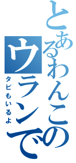 とあるわんこのウランです（タビもいるよ）