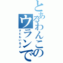 とあるわんこのウランです（タビもいるよ）