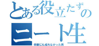 とある役立たずのニート生活（何者にも成れなかった男）