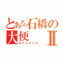 とある石橋の大便Ⅱ（ボクミズハラ）