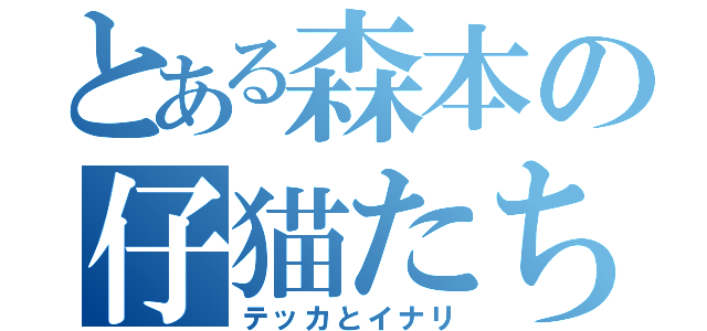 とある森本の仔猫たち（テッカとイナリ）