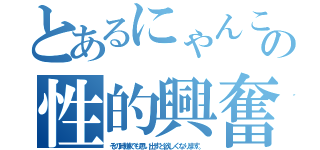 とあるにゃんこの性的興奮（その時嫌でも思い出すと欲しくなります。）