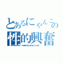 とあるにゃんこの性的興奮（その時嫌でも思い出すと欲しくなります。）