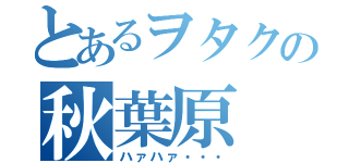 とあるヲタクの秋葉原（ハァハァ・・・）