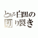 とある白黒の切り裂きデルタ（）