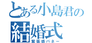 とある小島君の結婚式（緊張感パネー）