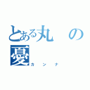 とある丸の憂（カンナ）