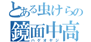 とある虫けらの鏡面中高年（ハゲオヤジ）