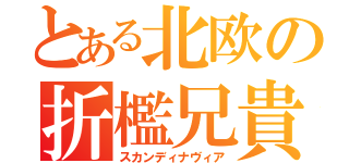 とある北欧の折檻兄貴（スカンディナヴィア）