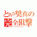 とある奨真の完全狙撃（パーフェクトショット）