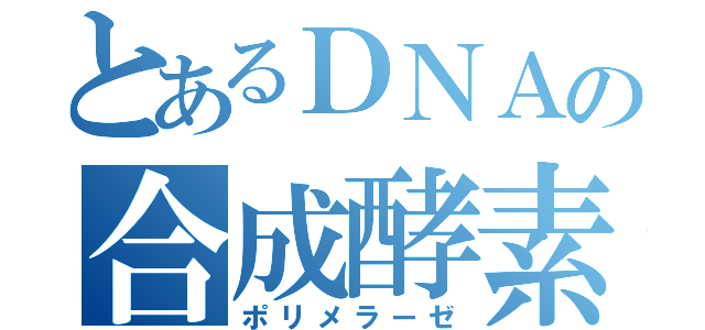 とあるＤＮＡの合成酵素（ポリメラーゼ）