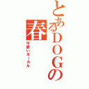 とあるＤＯＧの春（可愛いボーカル）