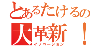 とあるたけるの大革新！（イノベーション）