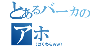 とあるバーカのアホ（（ばくわらｗｗ））