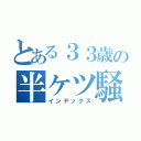 とある３３歳の半ケツ騒動（インデックス）