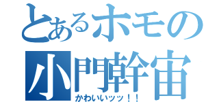とあるホモの小門幹宙（かわいいッッ！！）