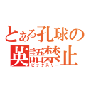 とある孔球の英語禁止（ビックスリー）