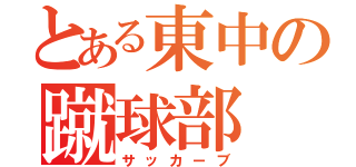 とある東中の蹴球部（サッカーブ）