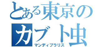 とある東京のカブト虫（マンディブラリス）