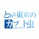 とある東京のカブト虫（マンディブラリス）