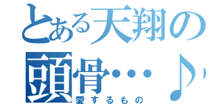 とある天翔の頭骨…♪（愛するもの）