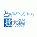 とあるハズキの拡大鏡（ハズキルーペ）