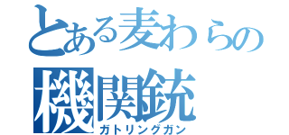 とある麦わらの機関銃（ガトリングガン）