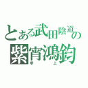 とある武田陰道の紫宵鴻鈞（參上）