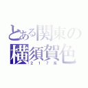 とある関東の横須賀色（２１７系）