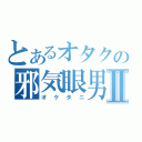 とあるオタクの邪気眼男Ⅱ（オケタニ）