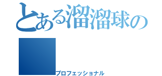 とある溜溜球の（プロフェッショナル）