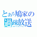 とある鳩家の過疎放送（ハト━━（゜∞゜）━━！！）